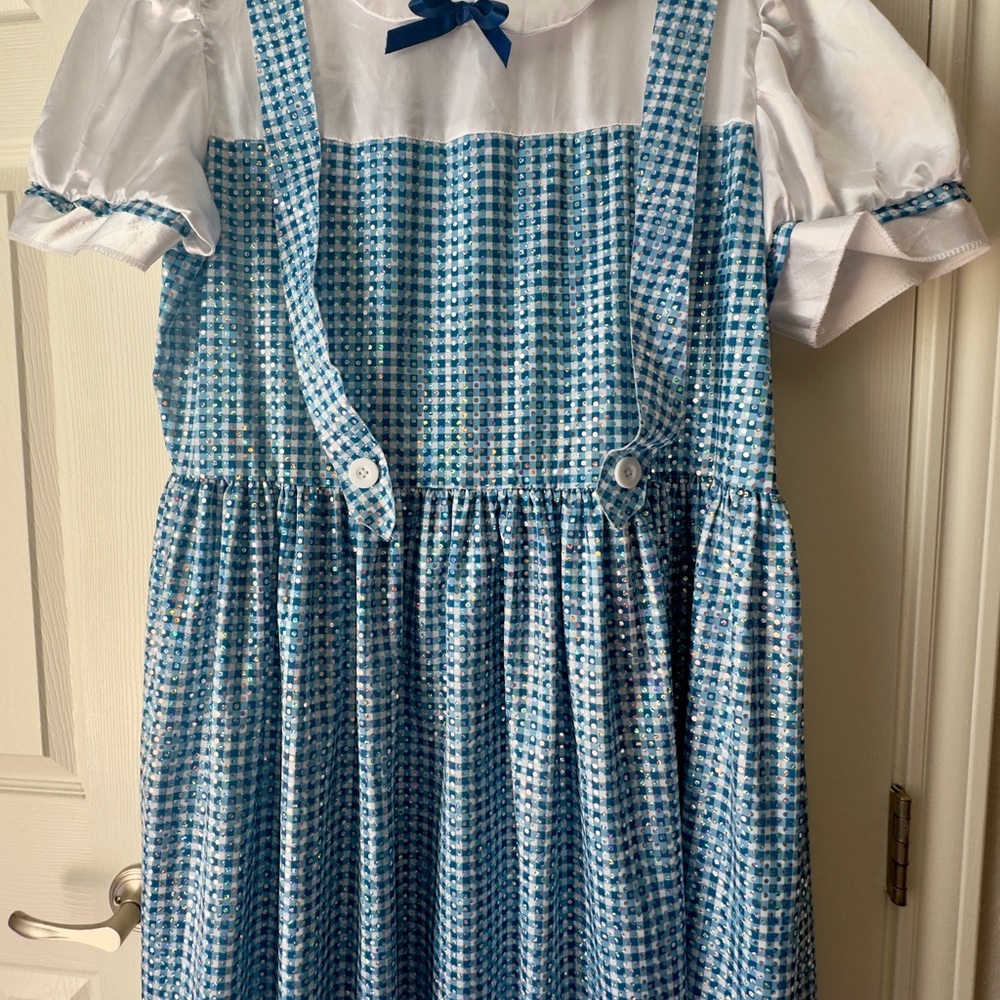 Dorothy Wizard of Oz Blue and White Checked Dress